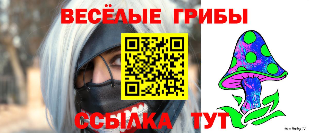 Псилоцибиновые грибы мухоморы  Вход с VPN  Горно-Алтайск 